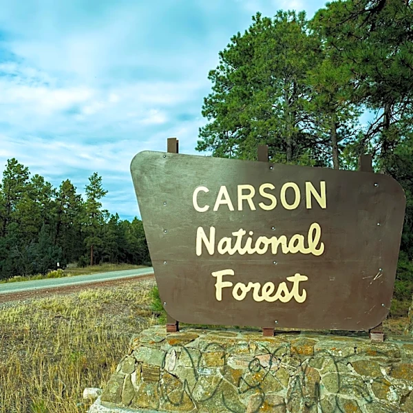 Remains found at national forest identified as missing scientist
