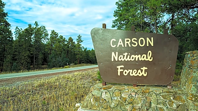 Remains found at national forest identified as missing scientist