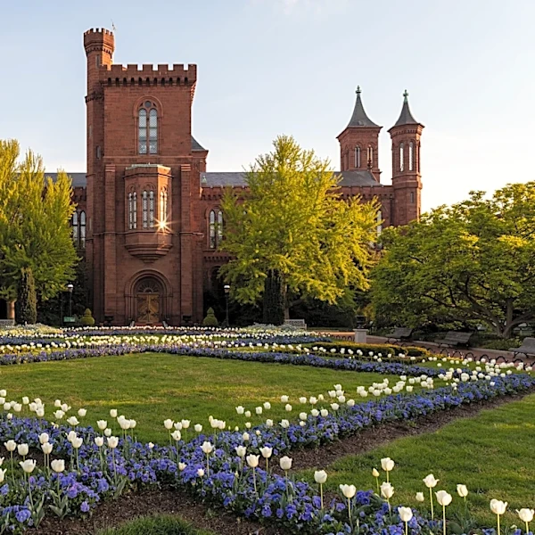 What we saw at the Smithsonian Castle's new America 250 exhibit