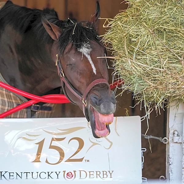 Belmont Stakes 2026 post positions, odds: Renegade favored, Golden Tempo outside