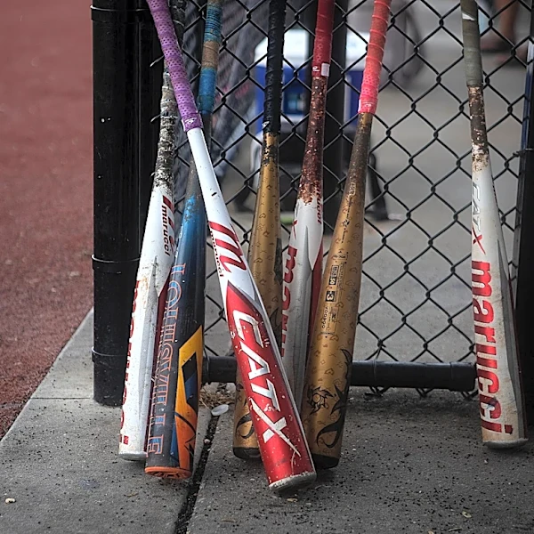 Banned youth baseball coach says he wouldn't pass background check after dugout incident