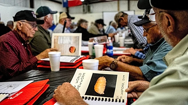 New World screwworm threat continues as USDA, Texas tries to stop it