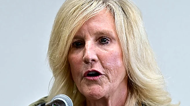 Erin Brockovich targets data centers. Why they're controversial