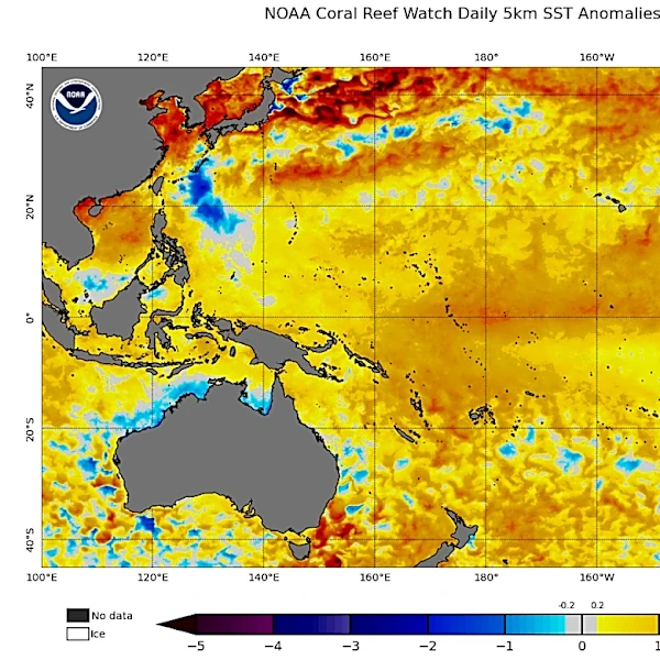 UN issues sobering warning about looming El Niño