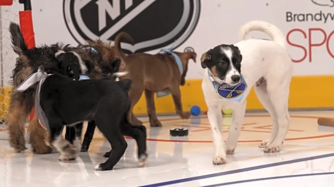 Who let the dogs out? NHL unveils players for the 2026 Stanley Pup