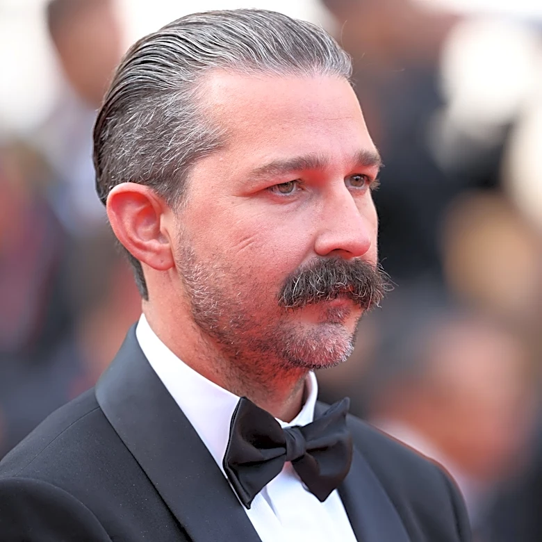 Shia LaBeouf pleads guilty to three charges over Mardi Gras bar fight