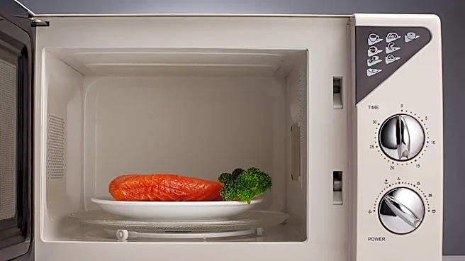 Detective charged with pulling gun on fellow officer microwaving fish