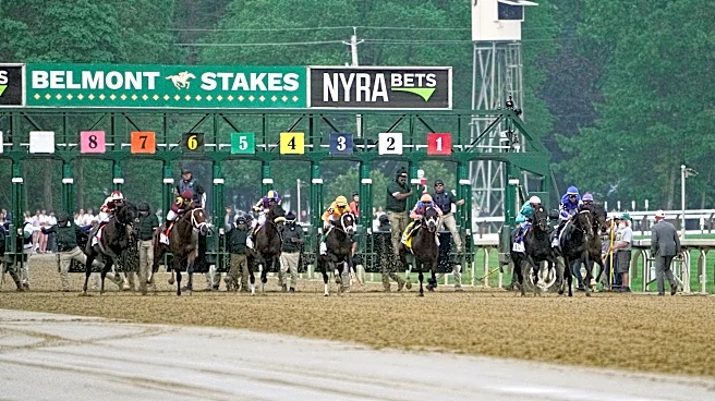 2026 Belmont Stakes: Date, time, odds, post positions for Triple Crown