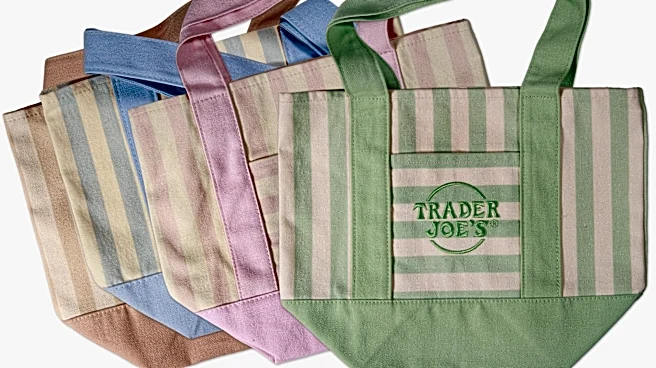 New Trader Joe's mini striped tote bags are on the way. Here's when