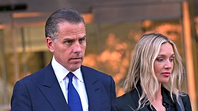 Hunter Biden says CNN's Jake Tapper is 'attacking' his mom Jill Biden