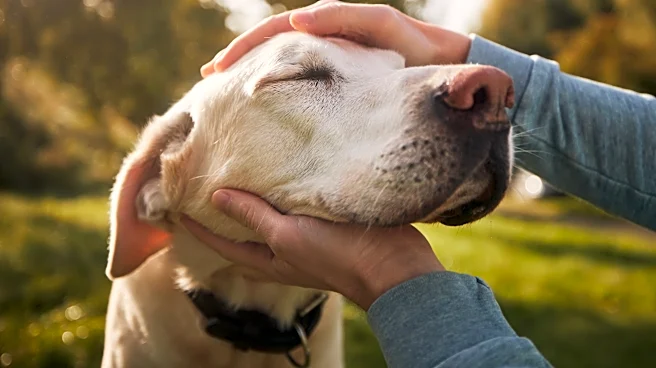 Navigating grief after saying goodbye to a pet