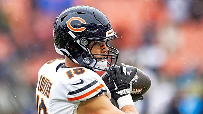 Chicago Bears move forward with Hammond stadium after Illinois fumble