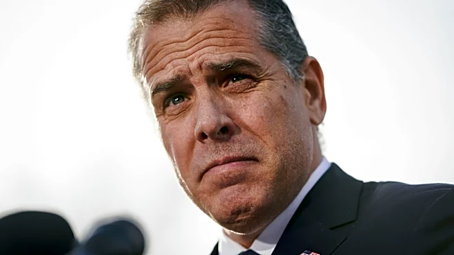 Hunter Biden, in viral social media posts, reclaims his narrative