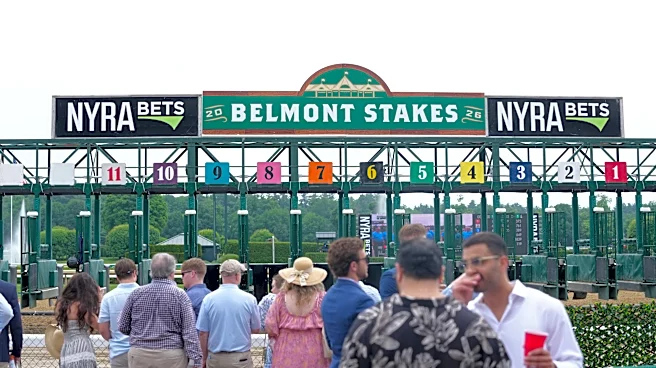 Who won the Belmont Stakes 2026?