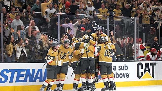 Hurricanes-Golden Knights double-OT thriller ends on bizarre Shea Theodore goal