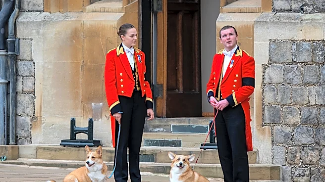 Where are Queen Elizabeth's corgis? We went looking.