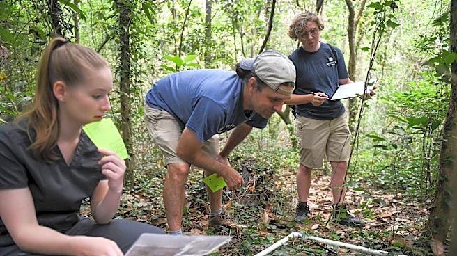 How to fight kudzu, fire ants and other invasive species in your yard