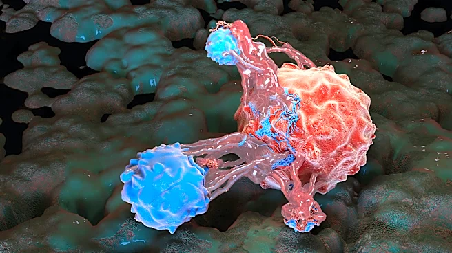 Breakthrough pancreatic cancer drug nearly doubles survival in trial