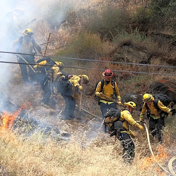 Putah Fire in California's Yolo County grows to 300 acres