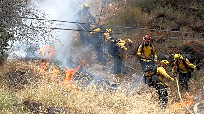 Putah Fire in California's Yolo County grows to 300 acres