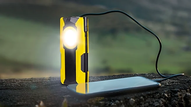 I'm not a dad, but I'm buying this $30 rechargeable work light anyway