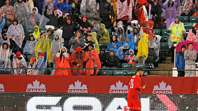 Ticket prices for Canada vs Bosnia's World Cup game have never been lower