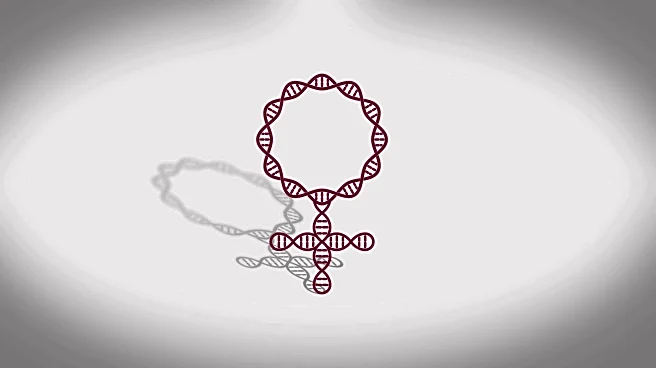 Inaccurate, expensive, traumatic: IOC restoring gene testing requirement it dumped in 1999