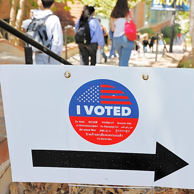 LA voter eligibility could expand. Will it make November ballot?