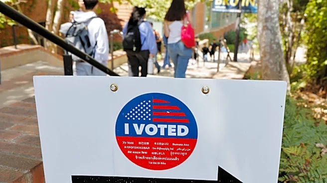 LA voter eligibility could expand. Will it make November ballot?