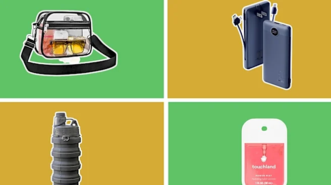What should you actually bring to a FIFA World Cup game?
