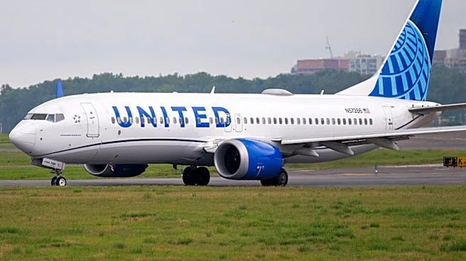 Bees cause minor delay to a United Airlines flight