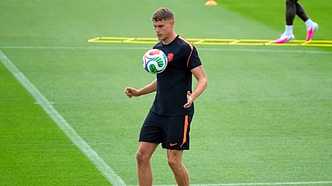 Who wins Netherlands vs. Japan? AI predicts every World Cup game today