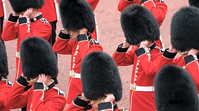 The raging debate about the iconic caps worn by King's Guards