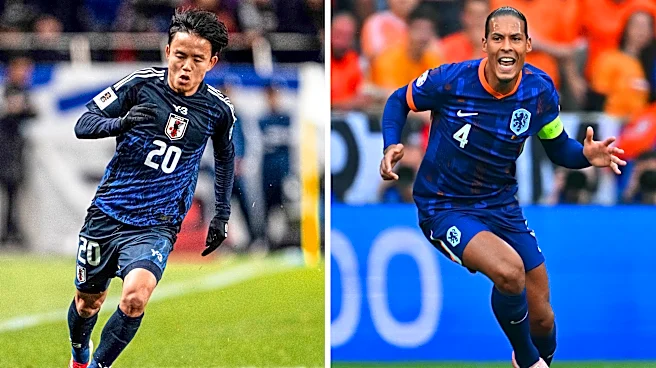 Netherlands vs Japan prediction, picks, analysis
