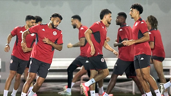 Sweden vs Tunisia prediction, picks, analysis