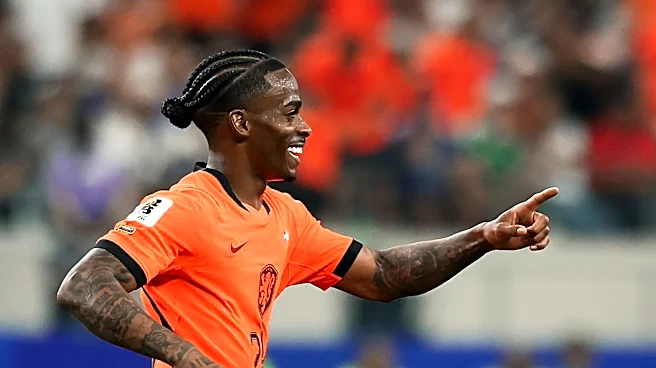 Why Dutch World Cup goal-scorer Summerville nearly joined another national team