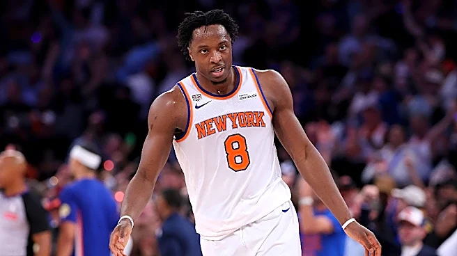 NBA Finals champ OG Anunoby drafts 5 adoptable shelter cats