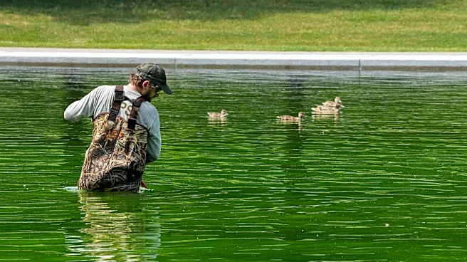 Red white and green? DC's Reflecting Pool may not be blue by July 4th