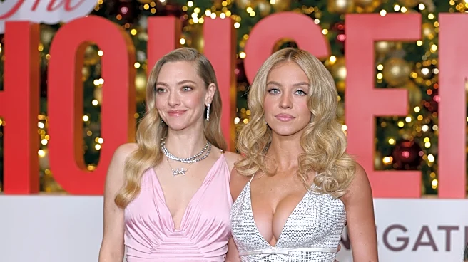 Amanda Seyfried speaks out on Sydney Sweeney American Eagle backlash