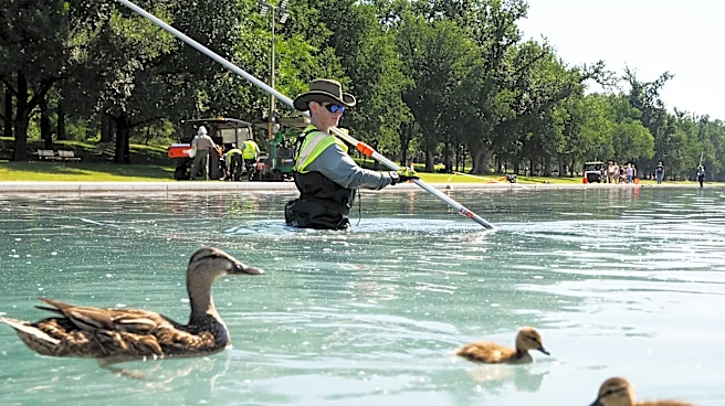 Is hydrogen peroxide a pool fix? DC Reflecting pool algae explained