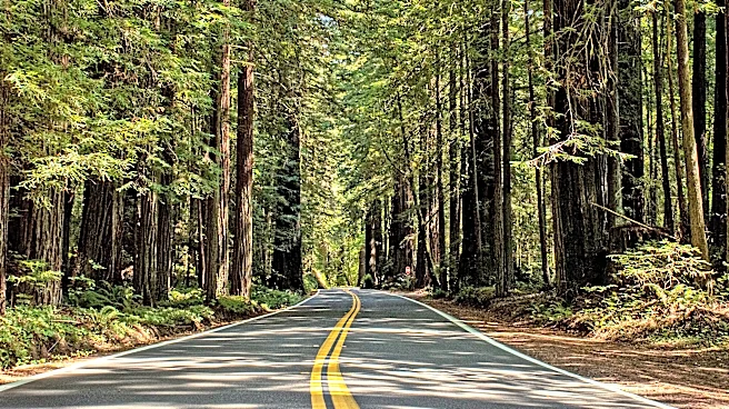 Visit California state historic parks for free with special pass