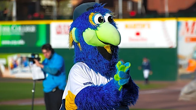 Minor league team forfeits game after players refuse to wear Pride jerseys