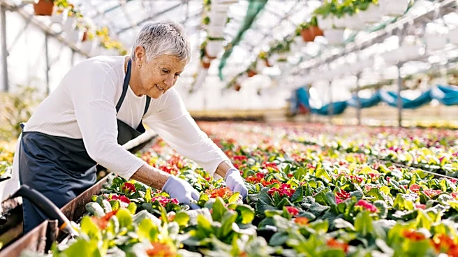 Planning to work in retirement? Don't count on it.