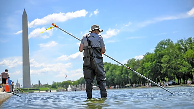 Green water, peeling paint. What's going on with the Reflecting Pool?