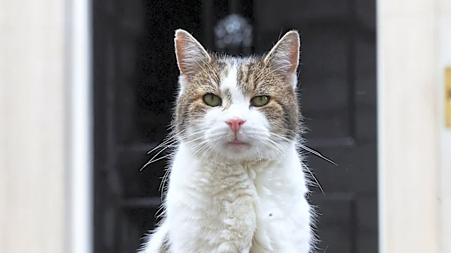UK prime ministers come and go. Larry the Cat stays
