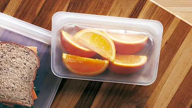 The internet's favorite reusable storage bags are on sale for Prime Day