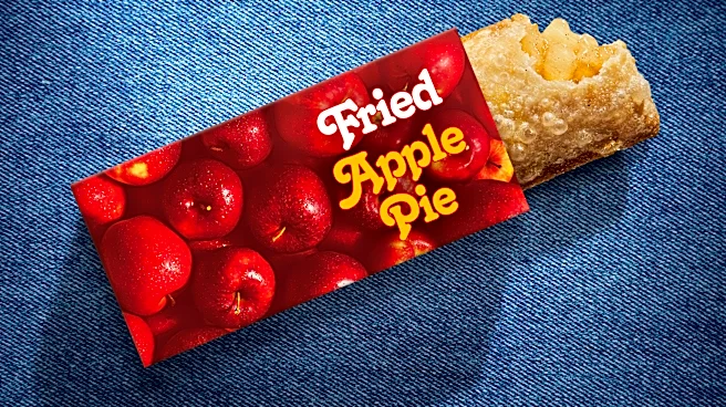 McDonald's Fried Apple Pie is back. We tried it