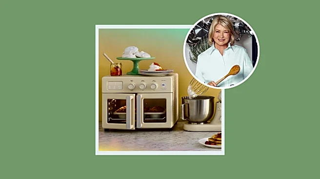 Martha Stewart's chic air fryer is under $200—and my kitchen needs it