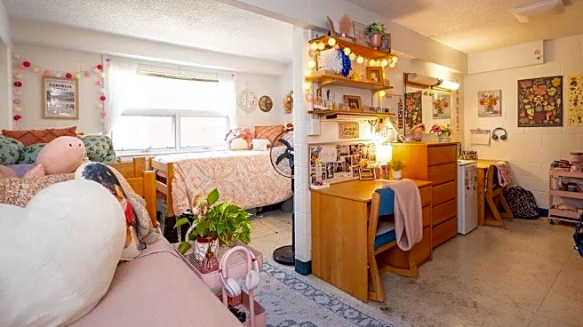 I sifted through thousands of Amazon dorm essentials — these are the 8 best on sale