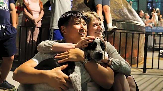 Vet-backed tips to calm your dog during Fourth of July fireworks